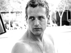 pierppasolini:  Paul Newman photographed by Leo Fuchs, 1959. 