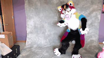 fursuit-gifs:  SourceAurora