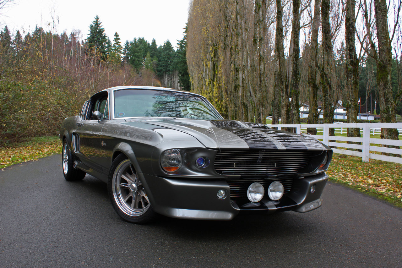 Ford Mustangs