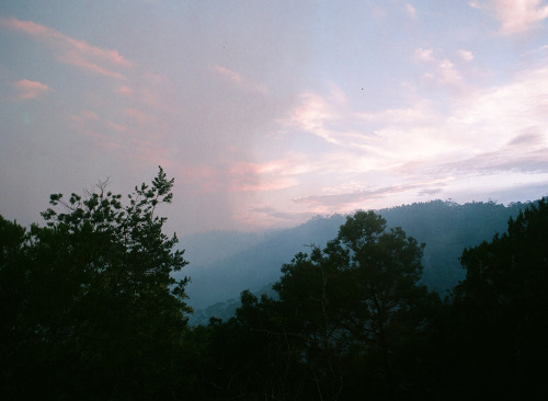untrustyou:  Lana Adams 