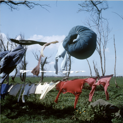 gacougnol:Victor MeeussenWaving Laundry 1950’s