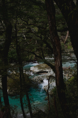 photographybywiebke:Routeburn River, New Zealand