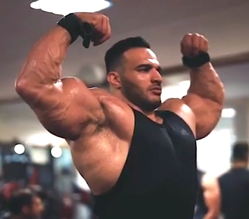 ani4detal: Mohsen Samadi. Includes some vidcaps so some never before seen stills. Try to do this wit