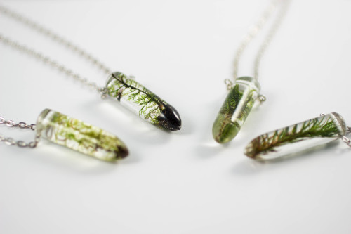 mossofthewoodsjewelry: Moss Specimen Necklaces! Each contains a little specimen of moss, hand harves