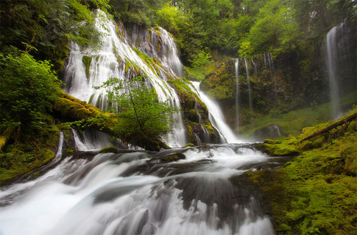 Panther Creek Falls, Washington by Lightvision [光視覺] on Flickr.