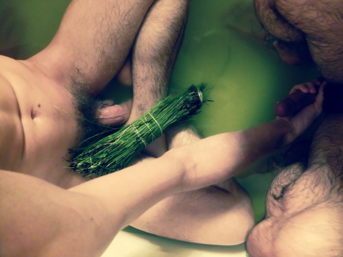 segovja:  Collected some pine needles to soak in this spiritual bath for balance and harmony.