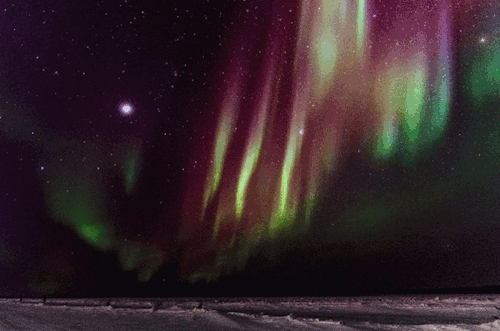 jeanpolfus:  Aurora over the Mackenzie River on February 16th, 2015.