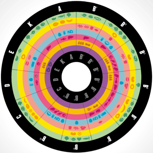 the-more-u-know:  The 13 essential vitamins [Source][More Health Infographics Here]