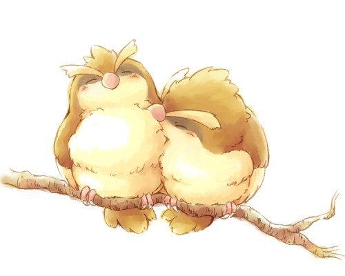 kitadashi:あーそこそこ･･･ by 木浦