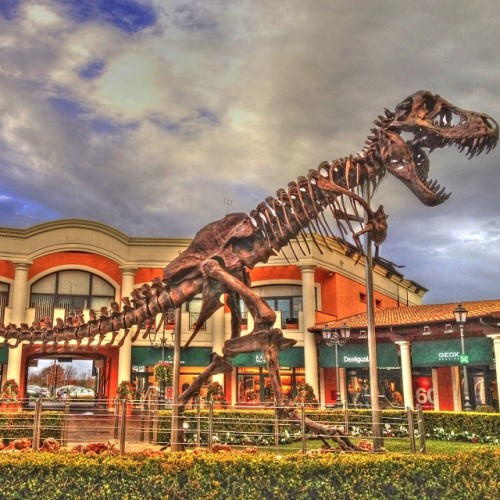 Steel dino#wu_italy #gf_italy #ig_rome #ig_lazio #hdr_greece #hdr_pics #realdeal_hdr #hdr #shopping 