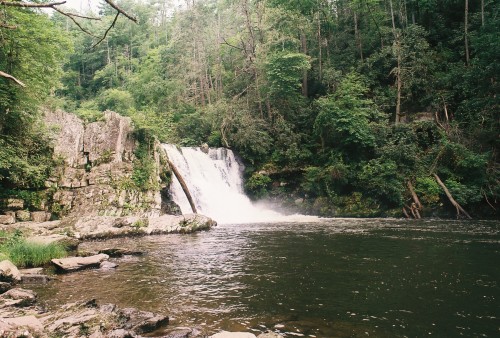 thesetiredfeet: Abrams Falls 35mm