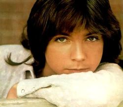 danakarel: RIP DavidCassidy (April 12, 1950