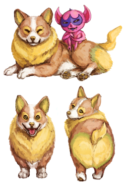 ommanyte:NEW POKEMON! A CORGI POKEMON! An