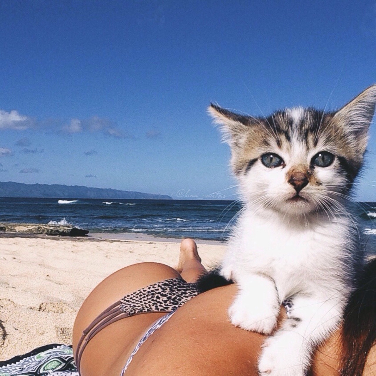 lunacourtois:  Beach baby luna_courtois