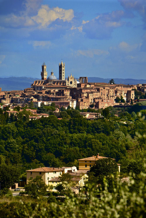 intothegreatunknown:Siena da Montalbuccio | Italy