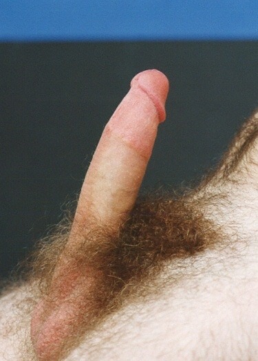 For some men who worship their own cocks, the pleasure of masturbation is increased by looking down and seeing a thick mat of sex hair!