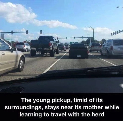 Humor Train