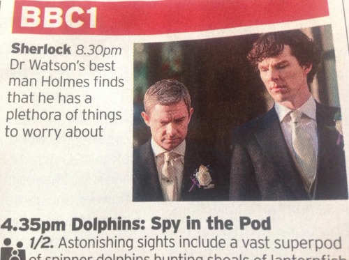 welovethebeekeeper: benedict-me: Radio times pic Oh dear! Uh&hellip; Can we talk about the fact 