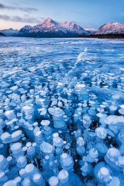 naturalsceneries:Frozen methane bubbles under Abraham Lake, Elliott Peak, Alberta, Canada by Emmanuel Coupe via reddit