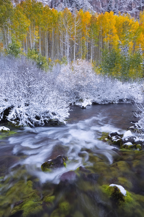 Blending Seasons by Tad Bowman.