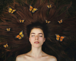 stability:  To Be Amongst Butterflies 26/52 by Kate Kinley on Flickr. 