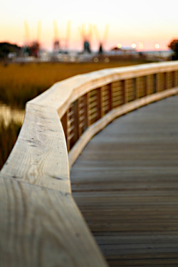 hueandeyephotography:  Boardwalk railing