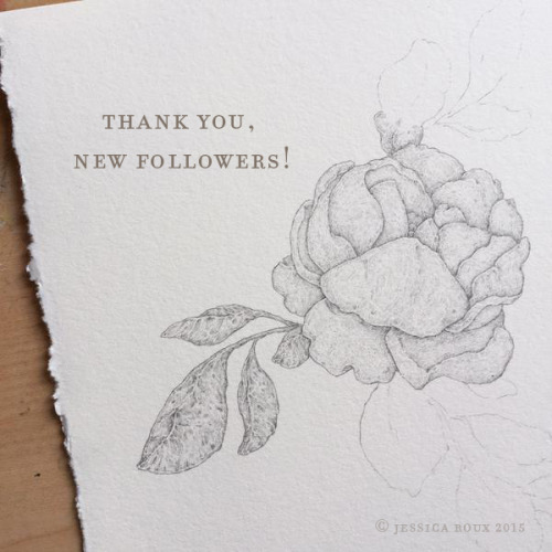 jessicaroux:What, hello new followers! And thank you to Tumblr Radar for bringing you all to me! If 