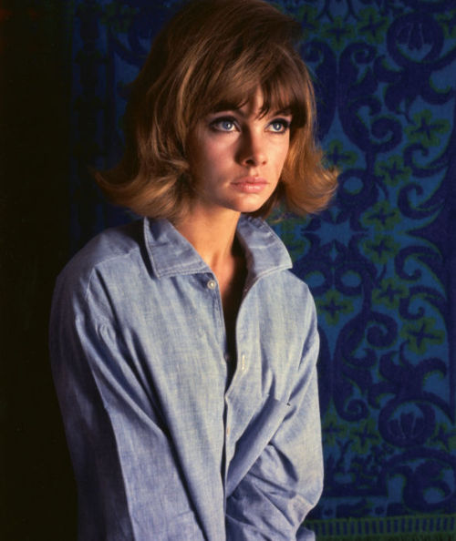 the60sbazaar:  Jean Shrimpton 