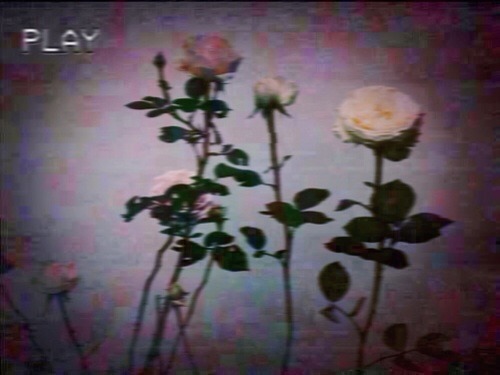 hollywood-noir:   YOU BROKE MY HEART