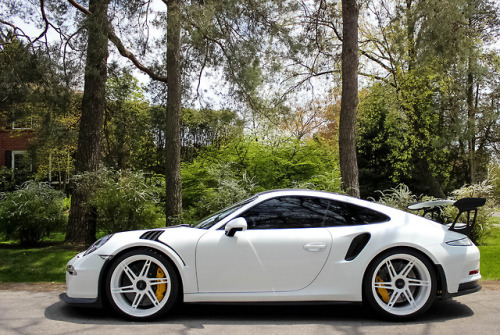 carpr0n: Starring: Porsche 911 GT3RSBy vinchops  beast