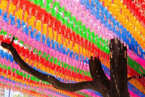 mymodernmet:Colorful canopy of lanterns in Seoul, South Korea.