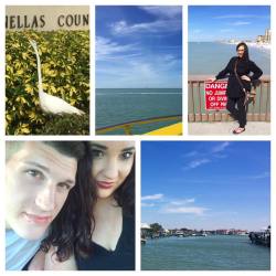 It was cold the first day I was here hence the New York goth girl gear in the top pic. The birds here are rad too. ☀️🚤🏖 #whenyoutakea #gothgirl #tothe #beach #florida #clearwaterbeach  (at Clearwater Beach)