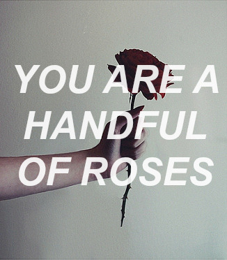 gskarth:all time low / forget about it