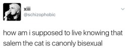 profeminist:  semitics:  angrybisexuals: oh my fucknfifgngig  Representation!  BI PRIDE &amp; VISIBILITY NOT ERASURE! Also: I love black cats and have a cute one like Salem. 