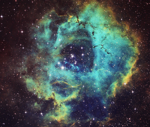 breathesuniverse:Rosette Nebula in NB by Daniele Malleo on Flickr.