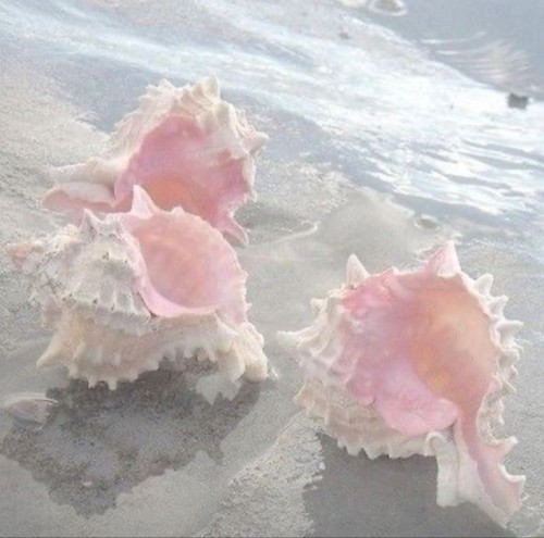 I Love The Beach..