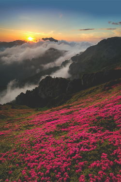 wearevanity:  | Nature Rainbow  by Ioan