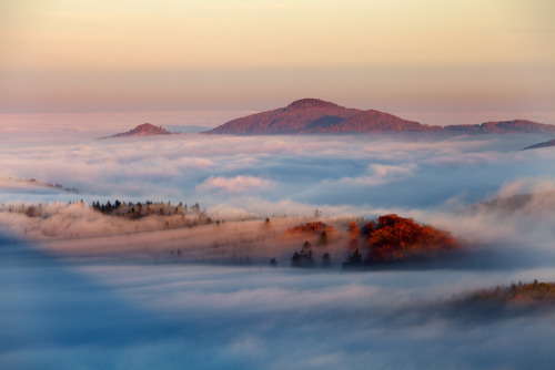 Porn awkwardsituationist:  early winter fog over photos