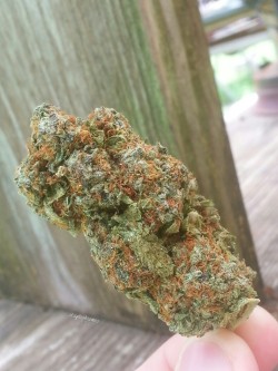 stayhighjames:  4g nug of Jet Fuel. Happy Stoner Sunday!