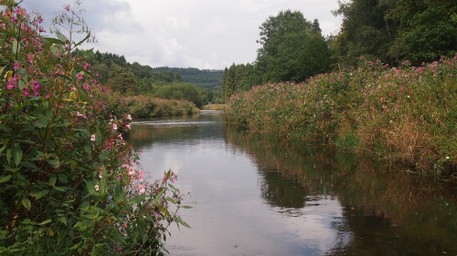 douleur-douce - doux souffrance