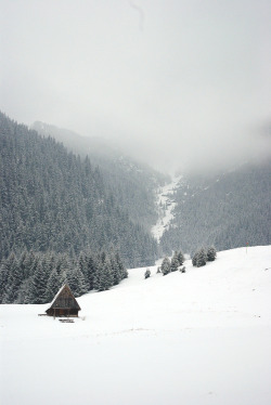 wnderlst:  Tatra Mountains, Poland ↝ Pawel