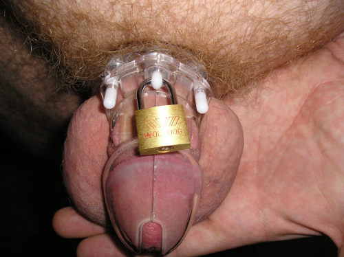 Sex chastity-journey:  I have resisted the urge pictures