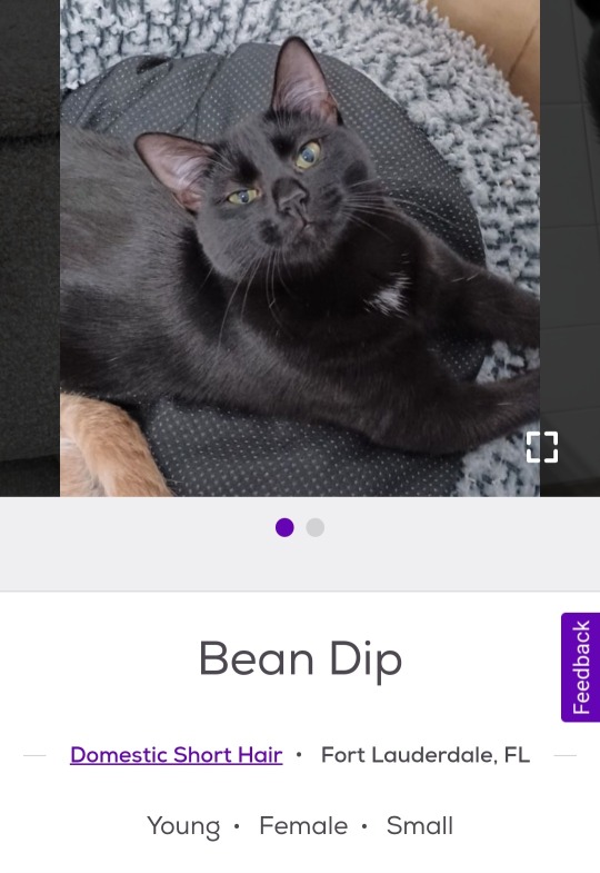 Porn catfindr:   Dean Bip photos