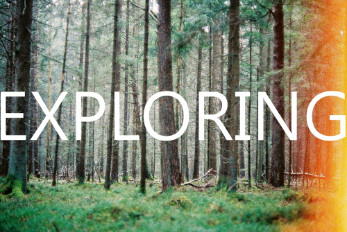 plasmatics:  Never Stop Exploring Nature [via/more] By Skinny Seba