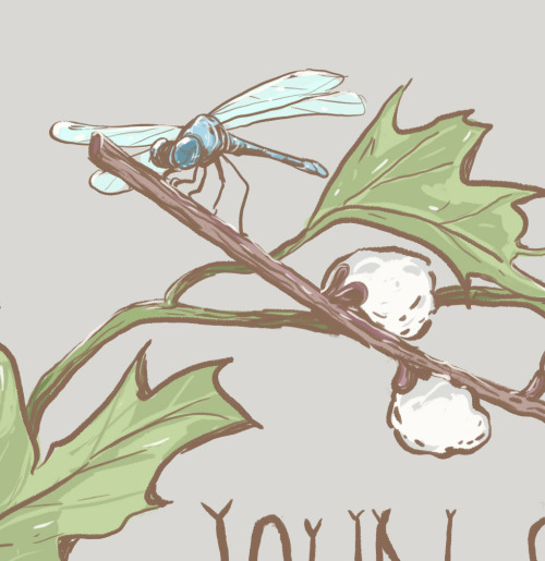 Gift illustration for my friends’ wedding invitations. Amanda likes pussy willows, dragonflies