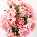 fleur-aesthetic:instagram | gracerosefarm 