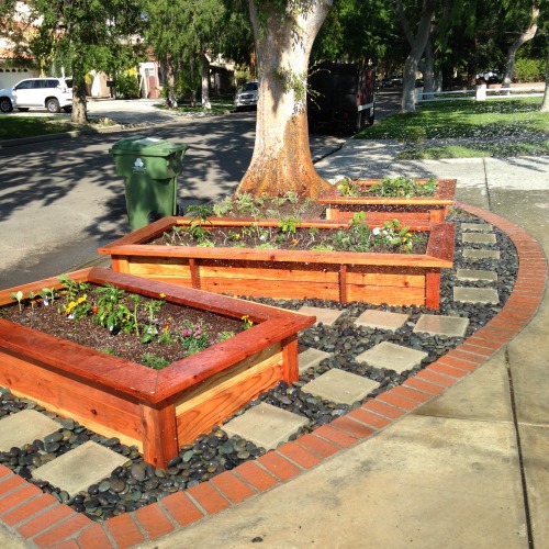 This is an “after” shot of a front strip, raised bed vegetable garden my crew and I worked on this w