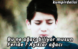 kumpirdelisi:Çalıkuşu