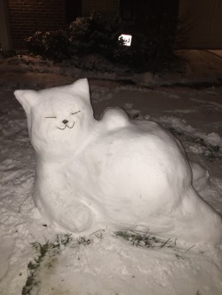 sleeplessasian:  Tubbs the snow-cat 
