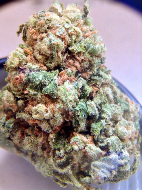 scrumptioushardfuck:  Crackberry